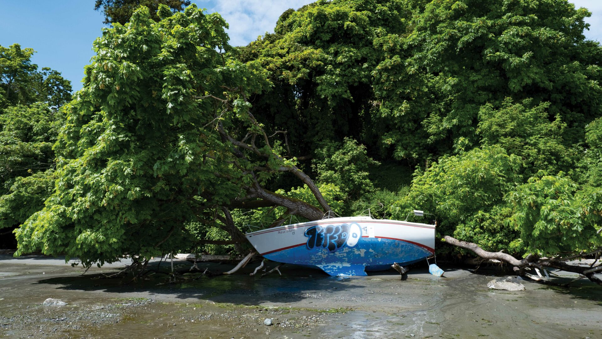 All it takes is one big spring storm, and beaches up and down the coast will see abandoned boats washing ashore. Photo by KK Law.